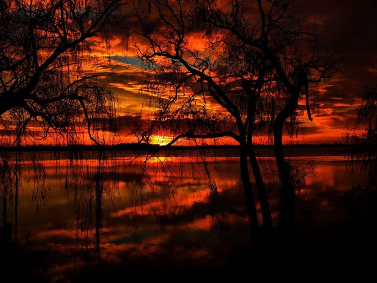 Sunset Reflection 桌布 壁紙 — 剪影柳樹框住平靜水面上倒映的火橙色日落。