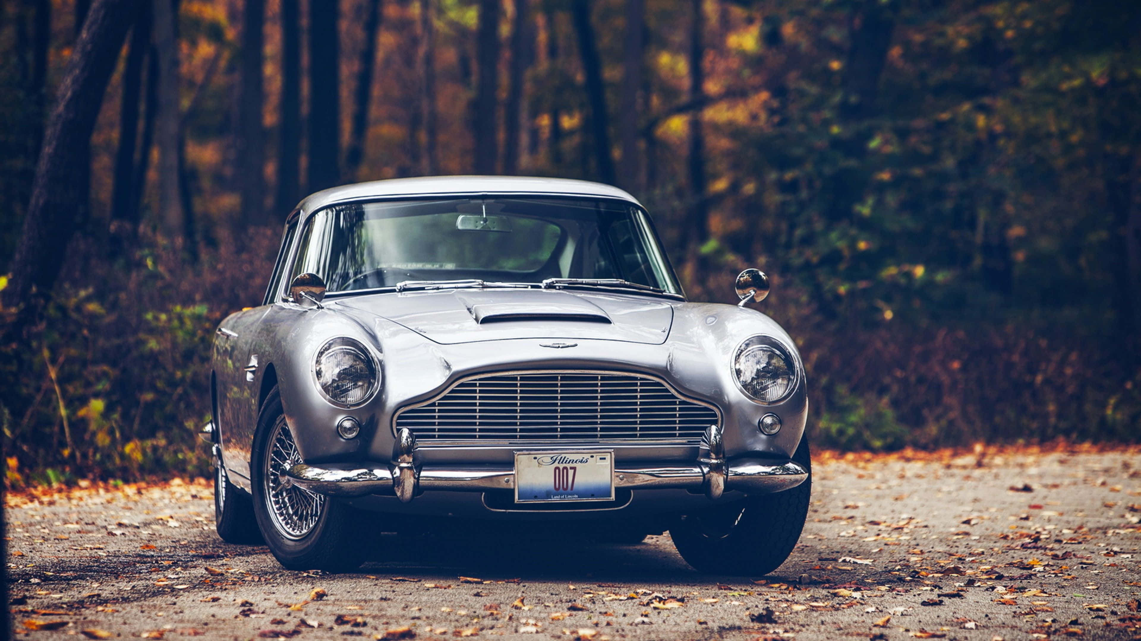 Aston Martin Db5 桌布 壁紙 — 一輛銀色Aston Martin DB5停泊在落葉鋪滿的森林道路上，周圍是秋樹。