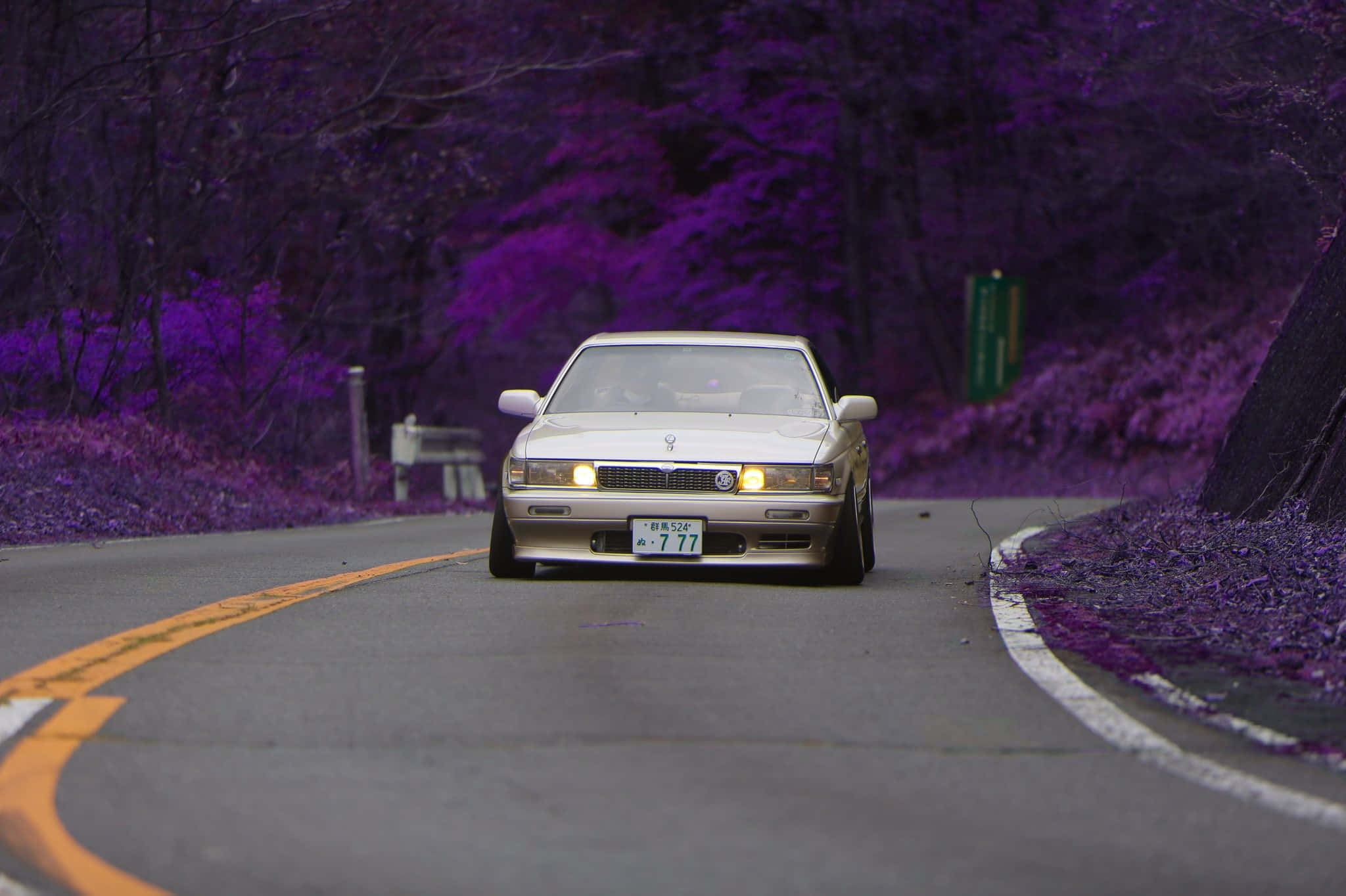 Car Pfp 桌布 壁紙 — 一輛銀色跑車亮著發光的車頭燈，行駛在一條蜿蜒的道路上，兩旁是充滿活力的紫色樹葉。