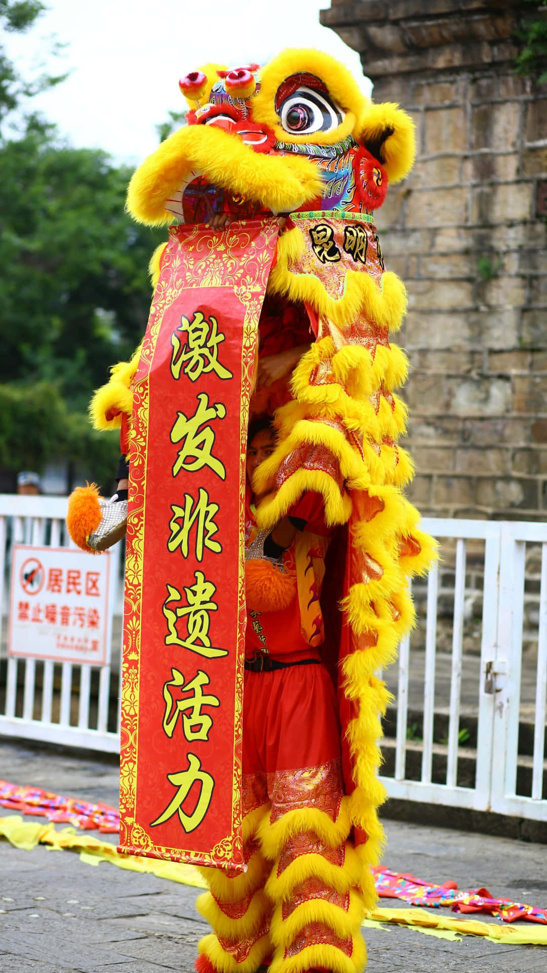  壁紙 — 一件鮮豔的黃色和紅色舞獅服裝自豪地站在石牆和白色柵欄前，手持節日橫幅。