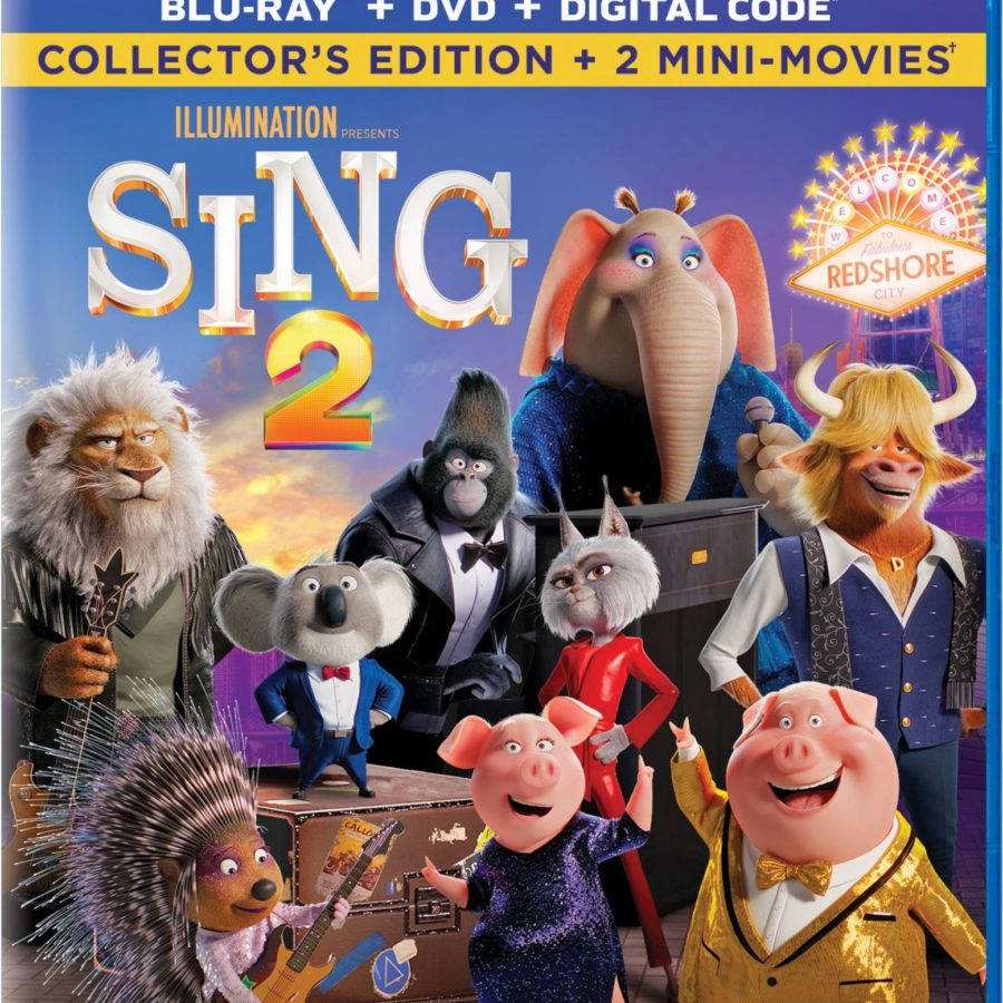 《Sing 2》電影DVD封面 壁紙 — 一張充滿活力的《星夢動物園2》動畫電影海報，色彩繽紛的擬人化動物穿著燕尾服和舞台服裝，背景是日落時分的城市天際線。