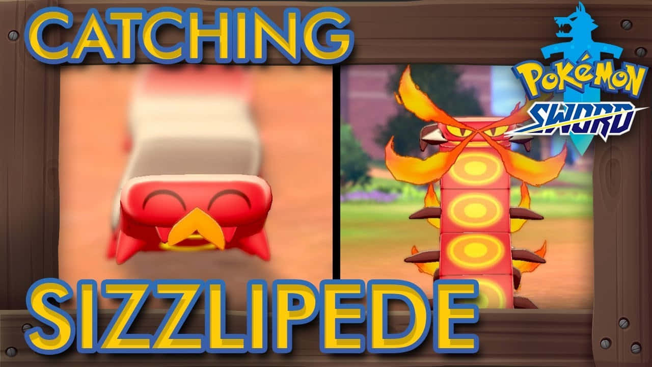 捕捉 Sizzlipede 壁紙 — 《寶可夢 劍》遊戲的分割畫面，顯示一隻紅色的燒火蚣正被精靈球捕捉。