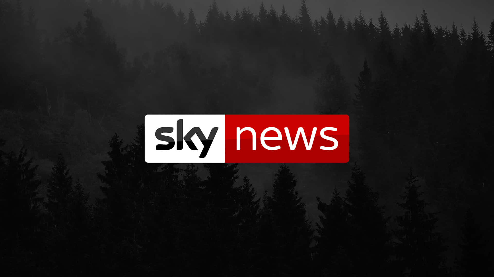 Sky News 標誌顯示在陰暗森林場景上方，帶有霧氣。