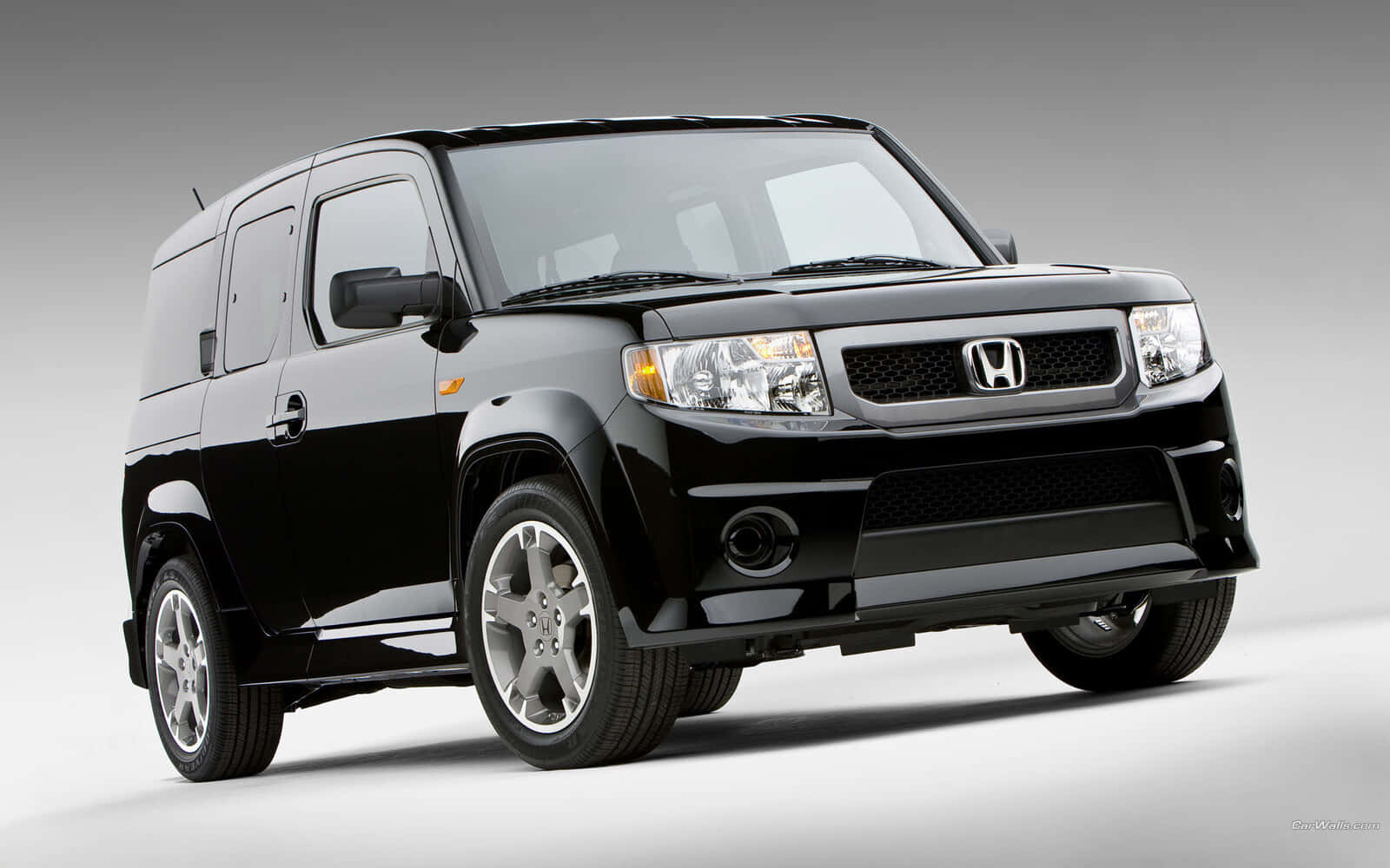 Honda Element 桌布 壁紙 — 一輛時尚的黑色本田Element SUV配備銀色輪圈，在乾淨的攝影棚環境中展示，光線柔和。