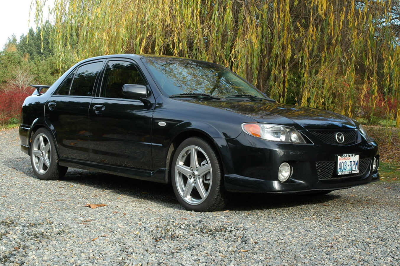 Mazda Protege 桌布 壁紙 — 一輛時尚的黑色萬事得6運動轎車停在碎石上，位於垂柳樹下，帶有秋葉。