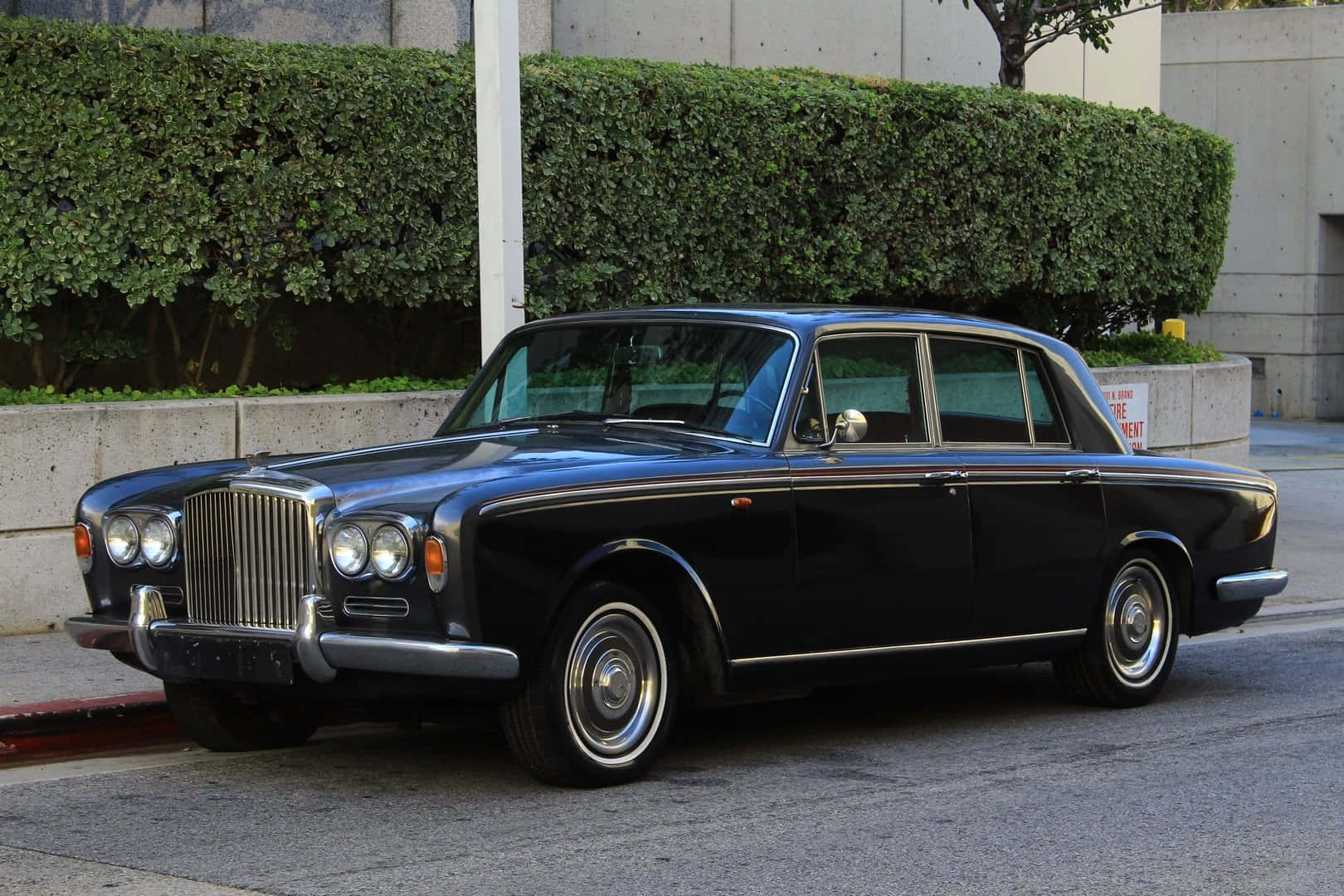 Bentley T1 桌布 壁紙 — 一輛時尚的黑色復古賓利轎車停泊在城市街道上，旁邊是修剪整齊的綠色樹籬。
