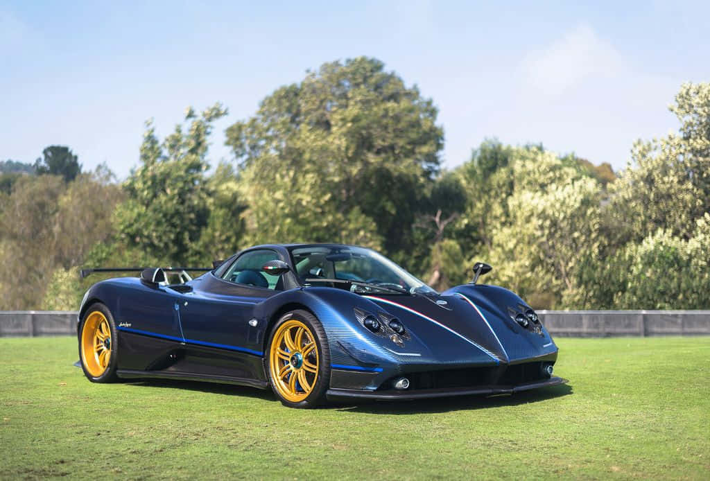 Pagani Zonda Tricolore 桌布 壁紙 — 一輛時尚的藍色Pagani Zonda配金色輪圈，停在草地上，背景是晴朗的天空和綠樹。