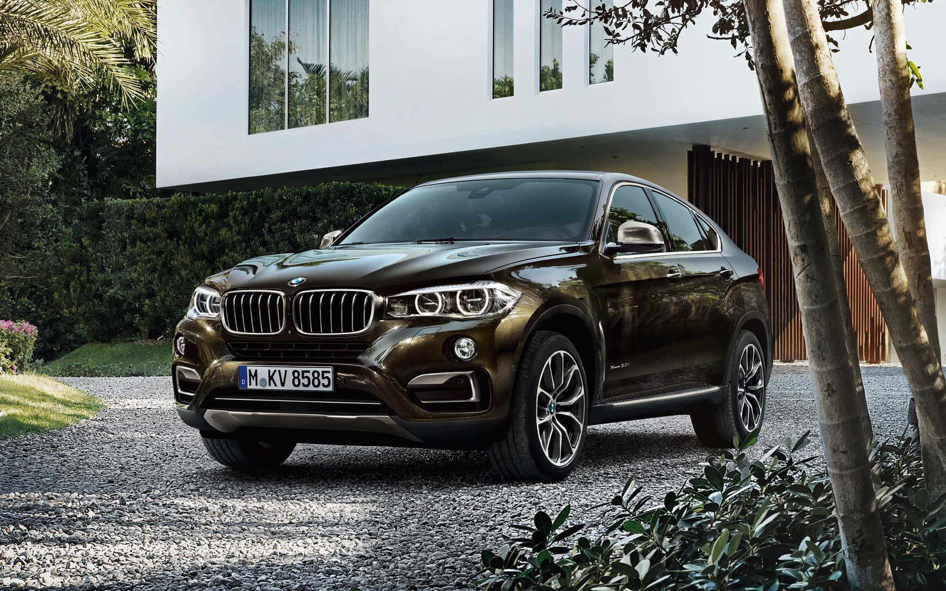 Bmw X6 桌布 壁紙 — 一輛時尚的青銅色BMW X6 SUV停泊在碎石路上，前面是現代白色房屋，周圍有茂密的綠植和棕櫚樹。