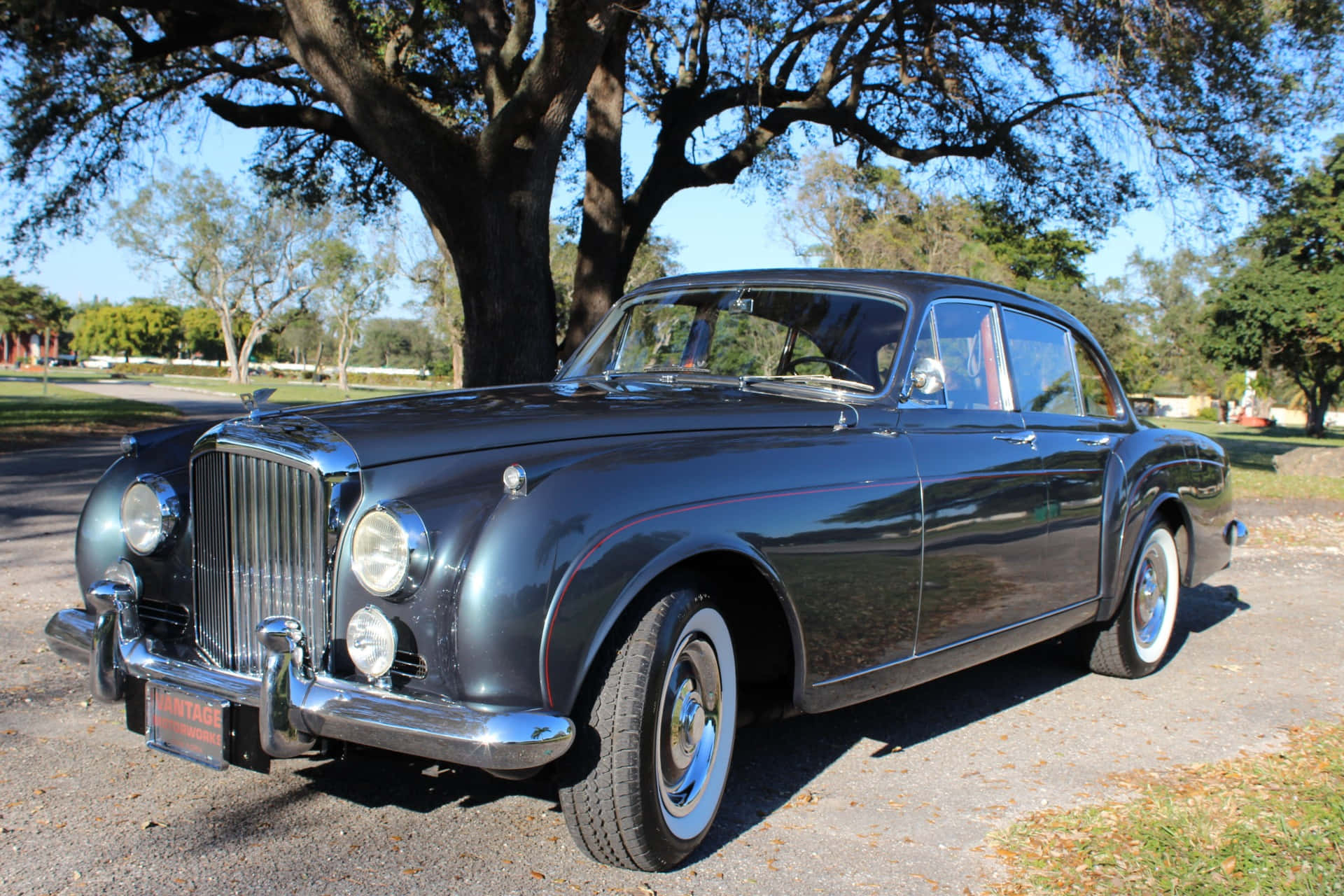 Bentley S2 桌布 壁紙 — 一輛時尚的深藍色復古賓利轎車在明亮的陽光下停在一棵枝葉茂盛的樹下閃閃發光。