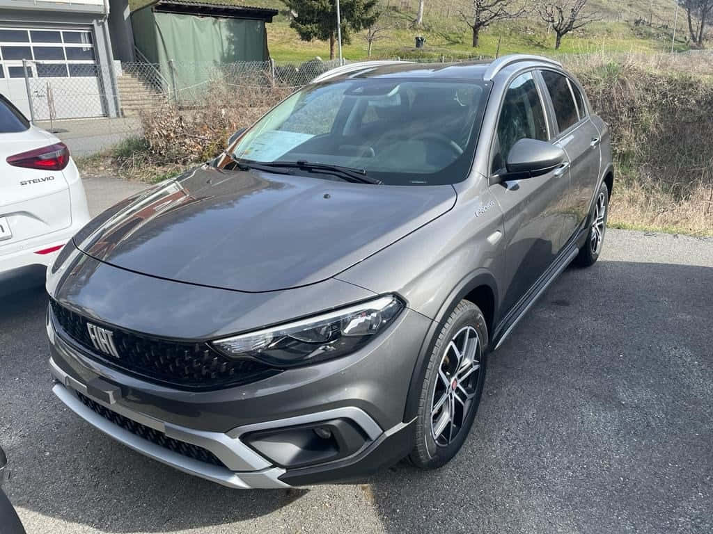 Fiat Tipo 桌布 壁紙 — 一架時尚灰色嘅Fiat Panda Cross泊喺瀝青路上，旁邊有架白色車，背景係個草地山丘。