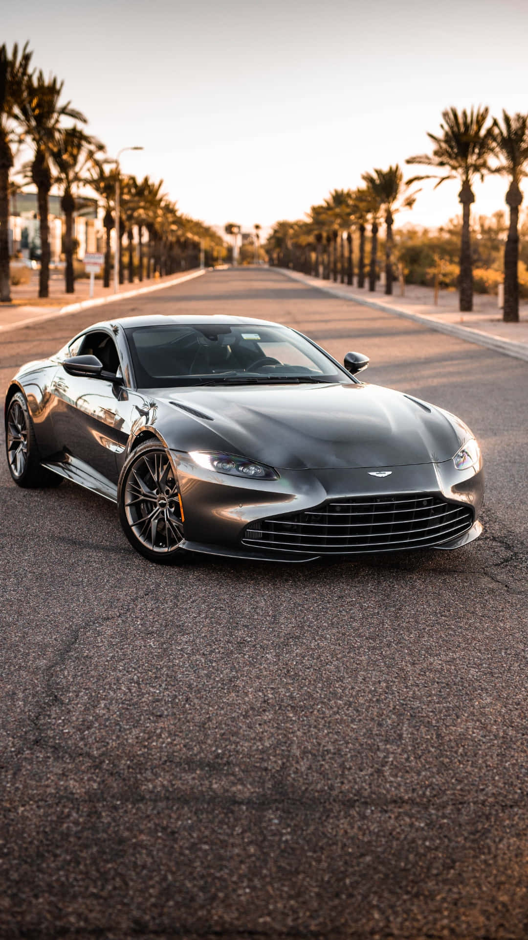 Aston Martin Vantage 桌布 壁紙 — 一輛時尚的銀色 Aston Martin 跑車停泊在棕櫚樹成蔭的道路上，正值黃金時刻。