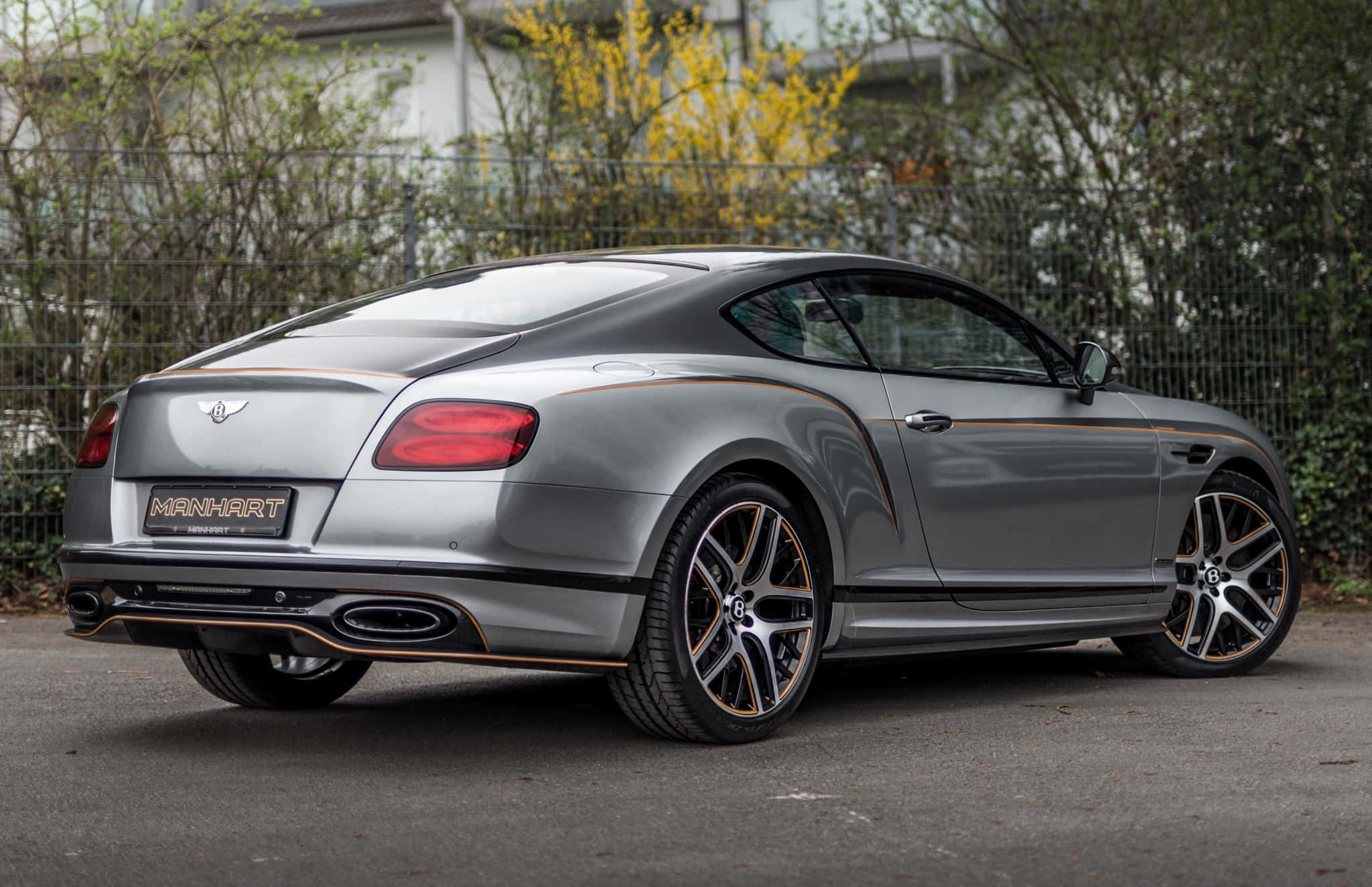 Bentley Continental Supersports 桌布 壁紙 — 一架時尚的銀色賓利 Continental GT 配金色飾邊，停在瀝青路上，旁邊有鐵絲網圍欄和綠植。