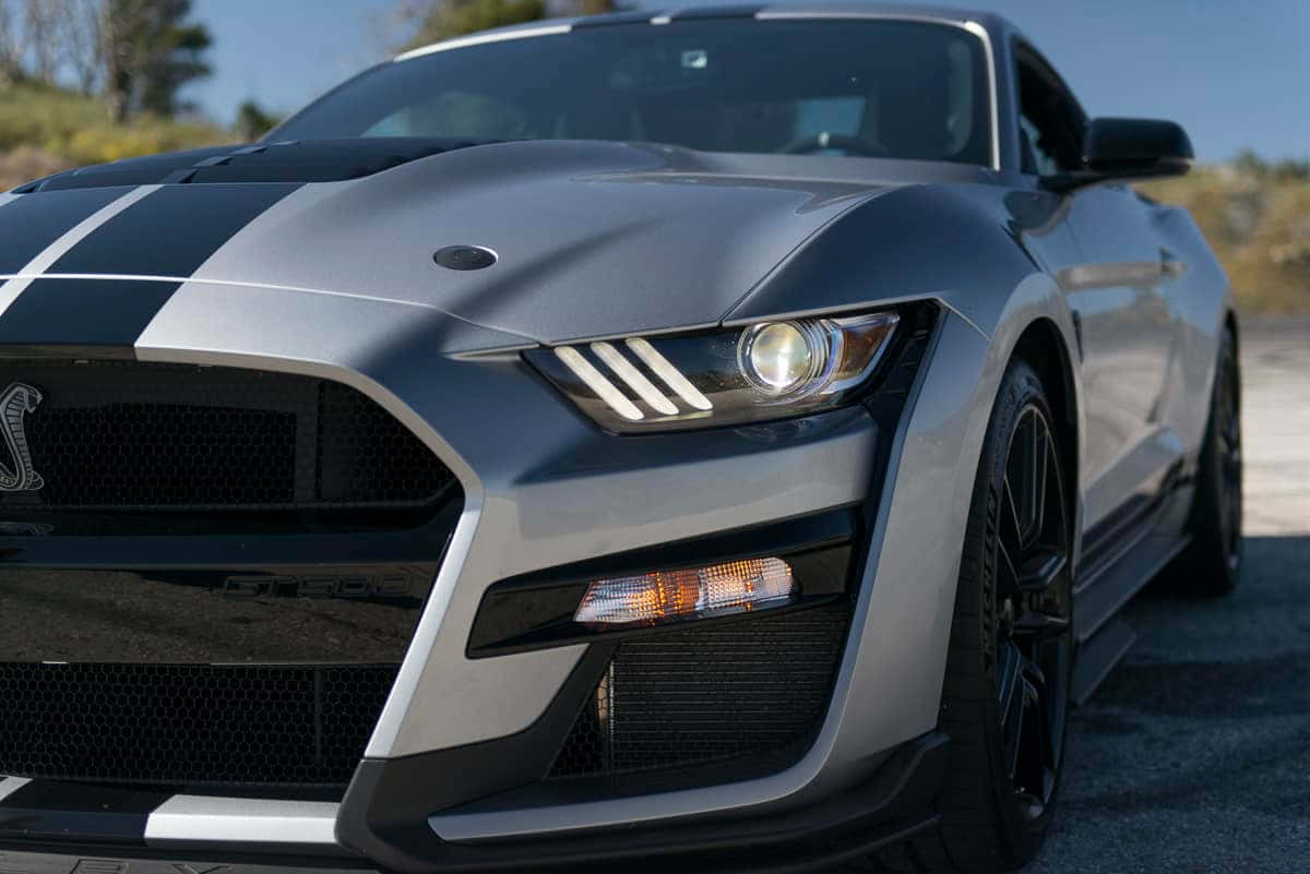  壁紙 — 一架型格銀色福特Shelby GT500，帶有黑色賽車條紋，停泊在陽光照耀的碎石路上。