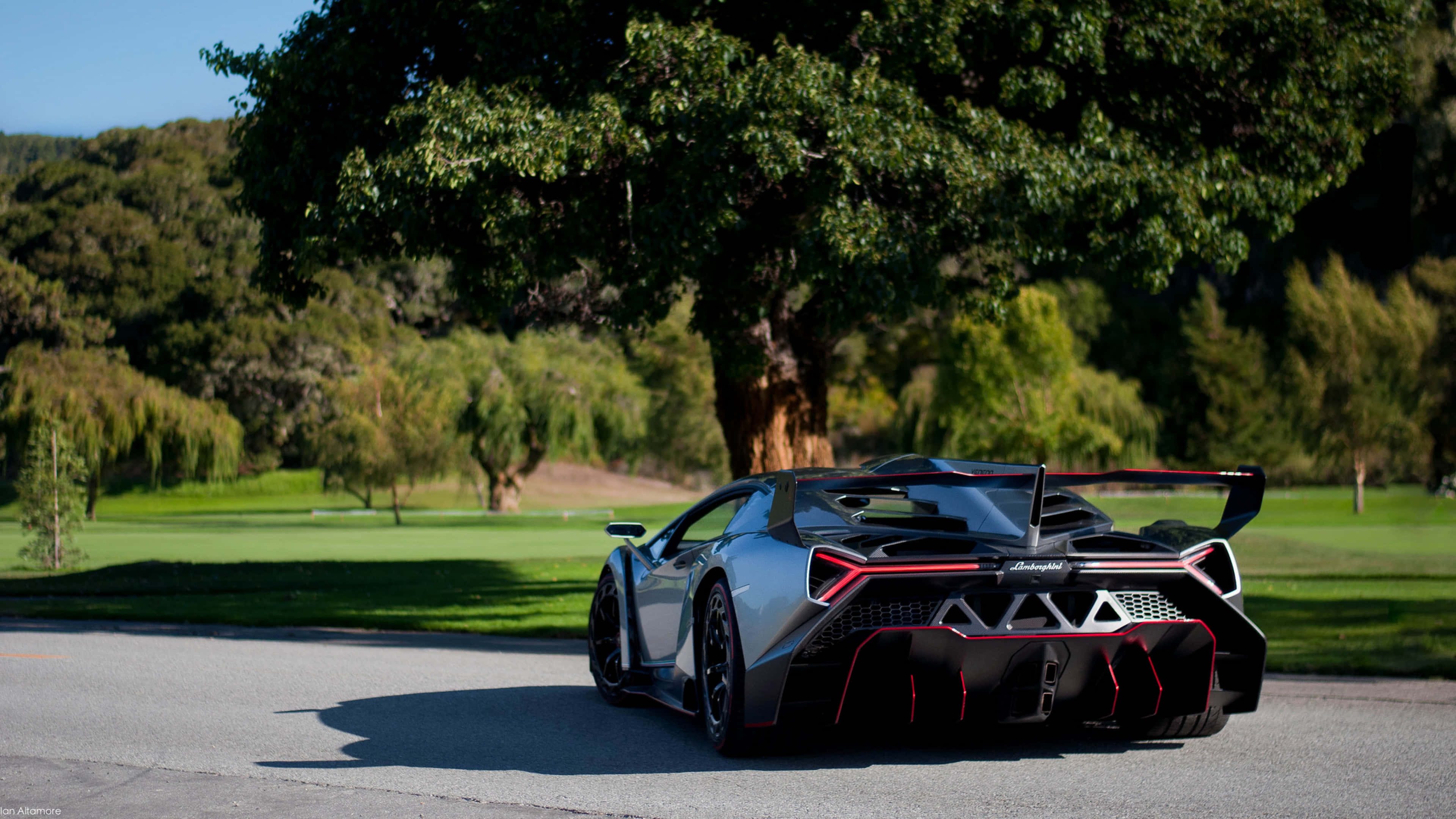 Lamborghini Veneno 桌布 壁紙 — 一輛帶有紅色點綴的時尚銀色林寶堅尼停泊在鋪砌的道路上，背景是大樹、茂密的綠草和山丘。