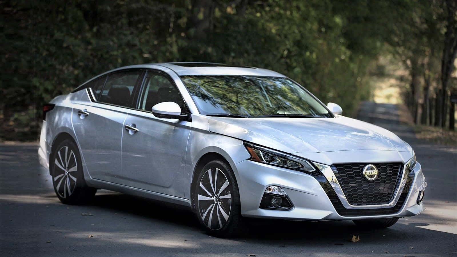 Nissan Altima 桌布 壁紙 — 一架時尚的銀色日產房車停泊在林蔭大道上，斑駁的陽光穿過樹葉灑落。