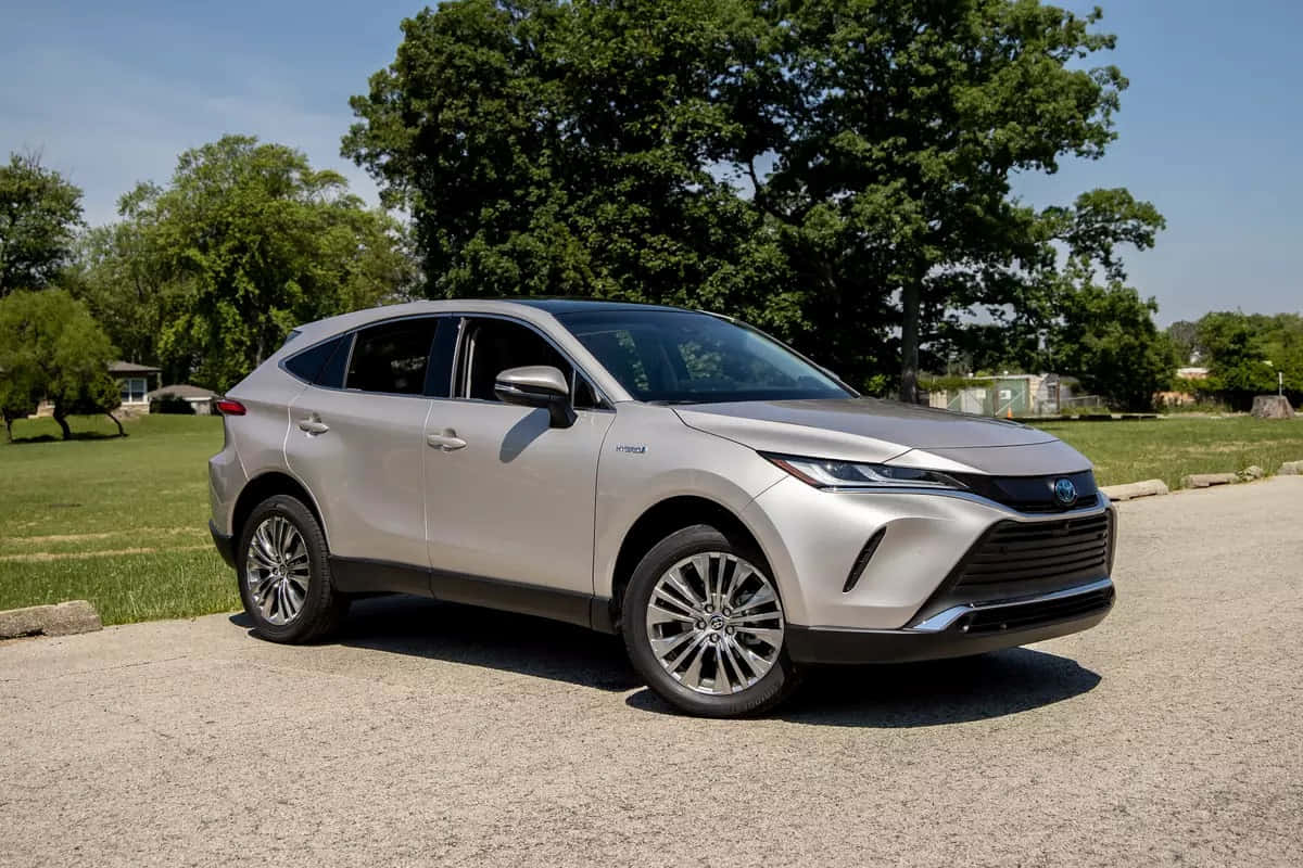  壁紙 — 一架時尚的銀色豐田RAV4混合動力SUV停泊在碎石車道上，背景是晴朗的藍天和茂密的綠樹。