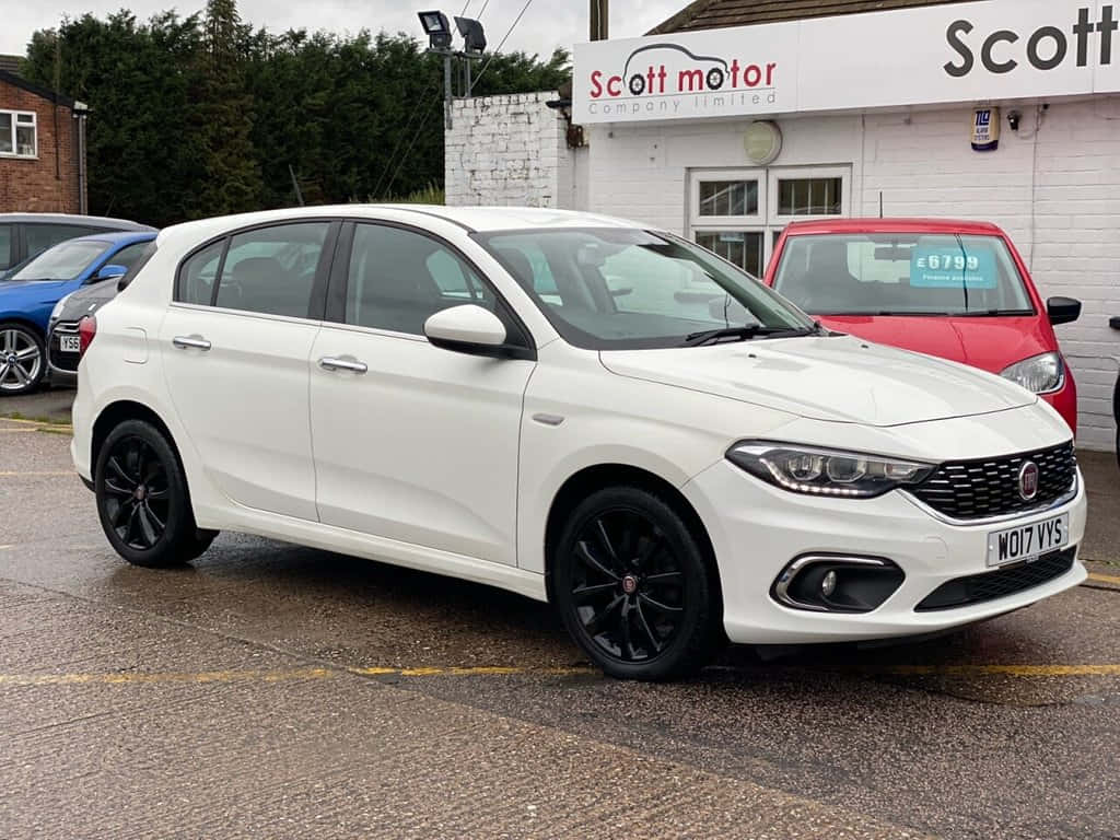 Fiat Tipo 桌布 壁紙 — 一架時尚的白色Fiat Punto配黑色輪圈，停泊在潮濕的汽車經銷商停車場，天空多雲。