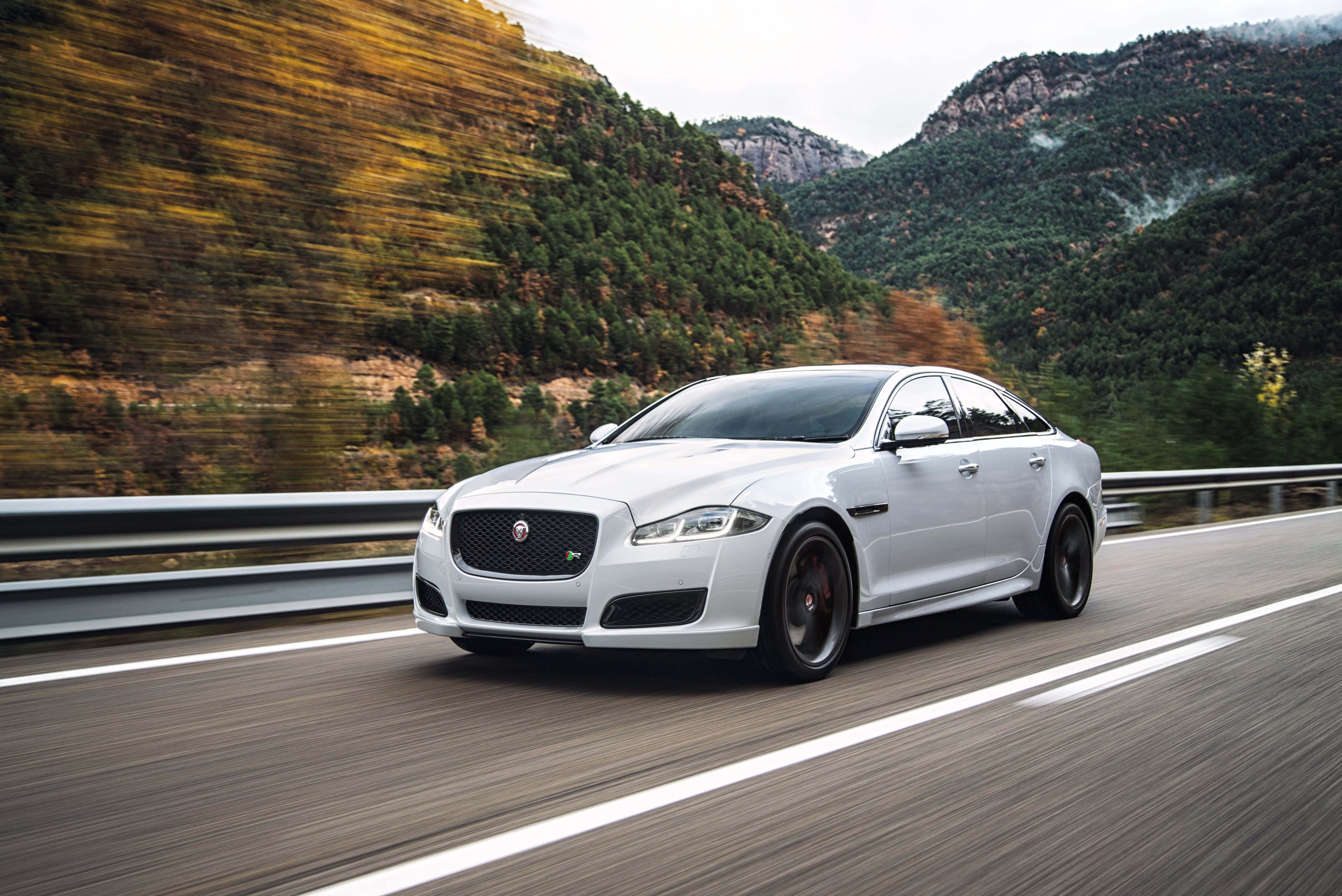 Jaguar Xj 桌布 壁紙 — 一輛時尚的白色 Jaguar XF R 運動轎車沿著蜿蜒的山路飛馳，背景是模糊的秋葉和霧氣繚繞的山峰。