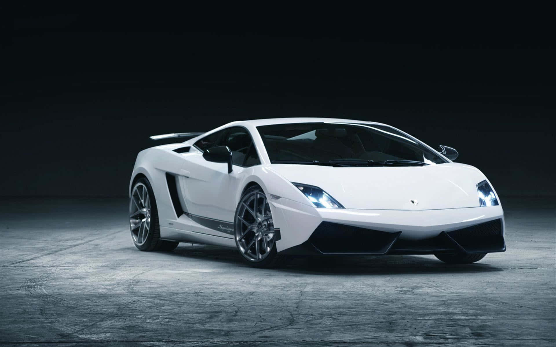 Lamborghini Gallardo 桌布 壁紙 — 一輛時尚的白色林寶堅尼Gallardo跑車在黑暗的混凝土地板上，在攝影棚燈光下閃耀。