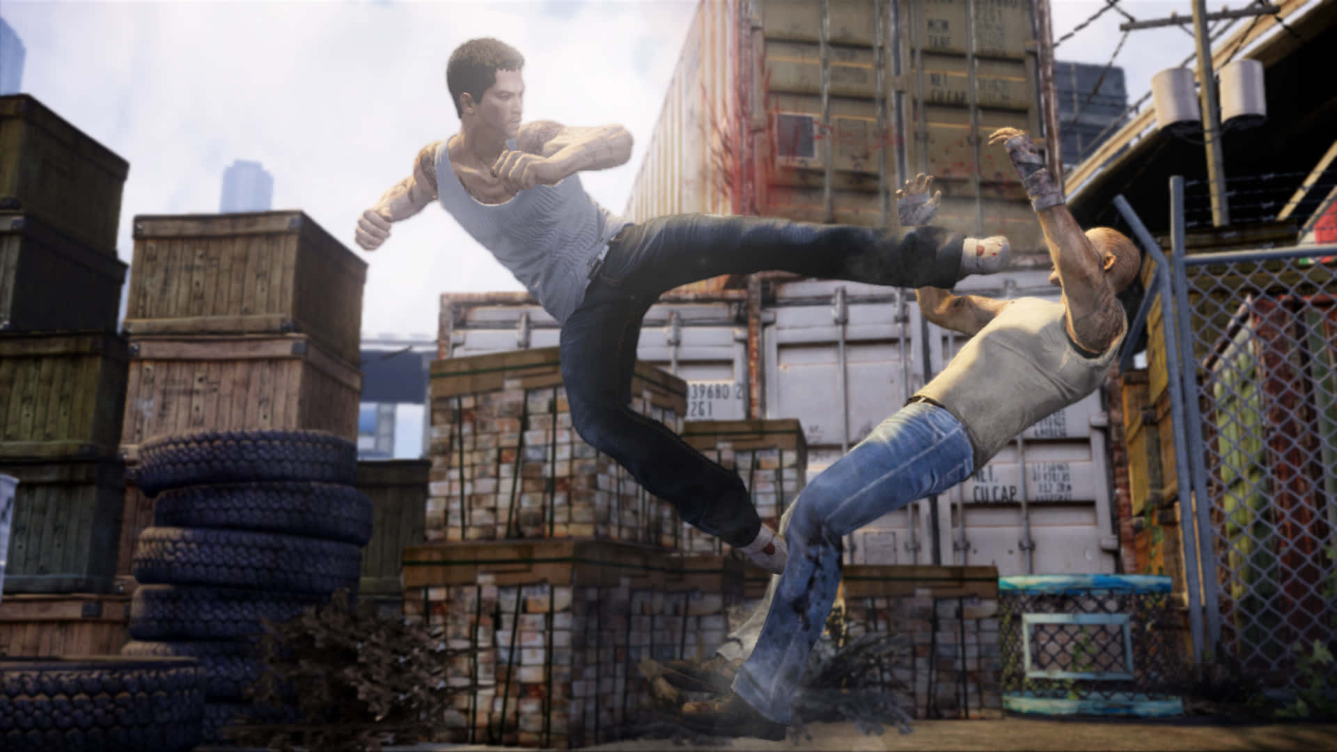 Sleeping Dogs 背景 壁紙
