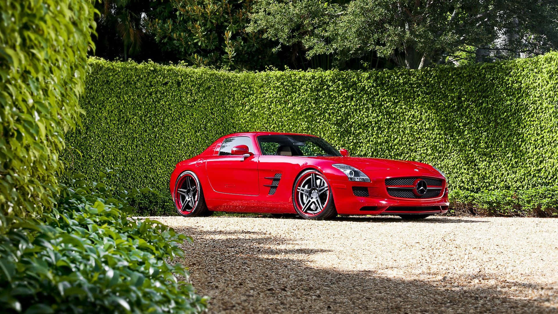 梅賽德斯-奔馳紅色SLS AMG 壁紙 — 一輛鮮紅色的 Mercedes SLS AMG 跑車在明亮的日光下停泊在碎石路上，旁邊是茂密的綠色籬笆。