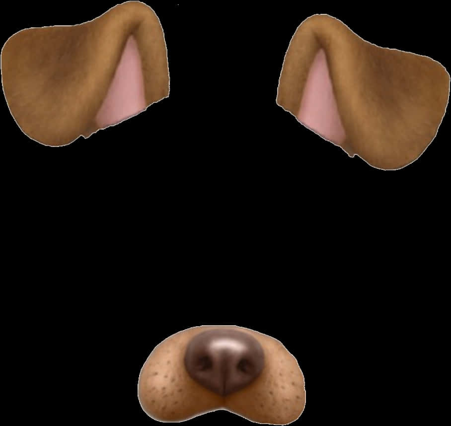 Snapchat狗濾鏡元素 壁紙 — 狗嘅垂耳同鼻喺黑色背景前嘅特寫。
