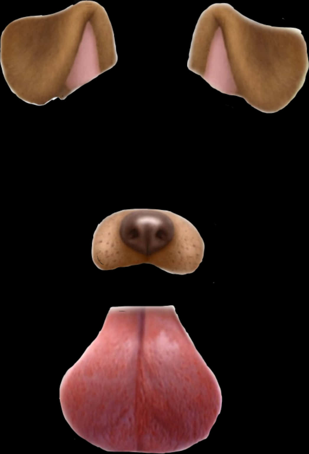 Snapchat狗濾鏡元素 壁紙 — 狗嘅垂耳、鼻同舌頭垂直排列喺黑色背景上嘅特寫。