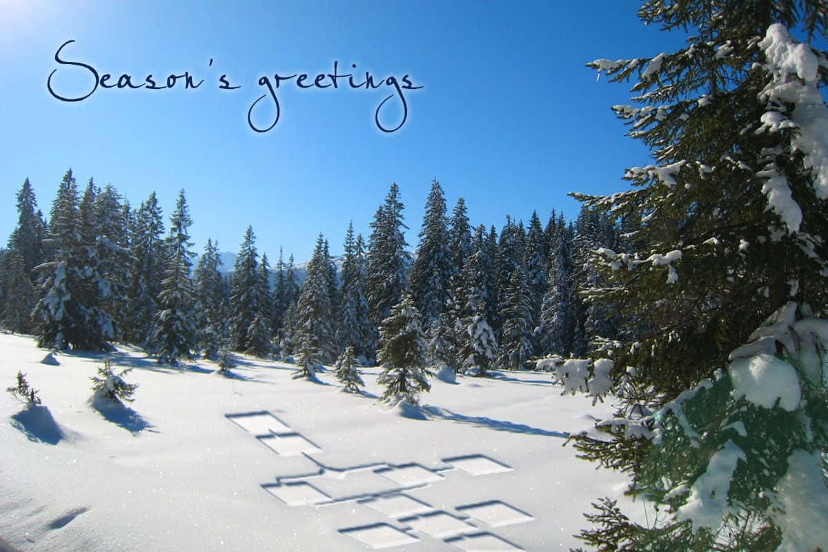 藍天白雲下，白雪覆蓋的松樹，帶有「Season's greetings」文字。