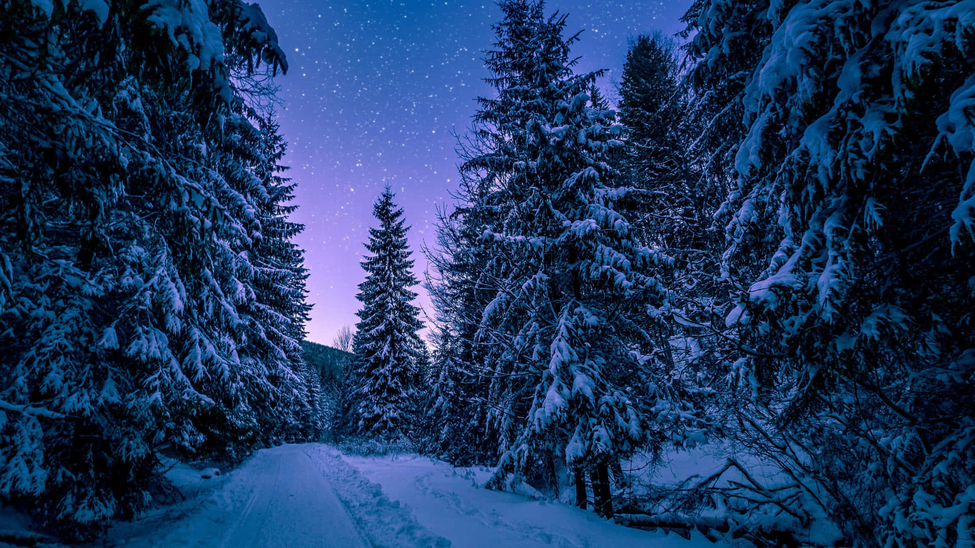  壁紙 — 一條白雪覆蓋的森林小徑蜿蜒在星光閃爍的暮色天空下，天空散發著紫色和藍色的色調。
