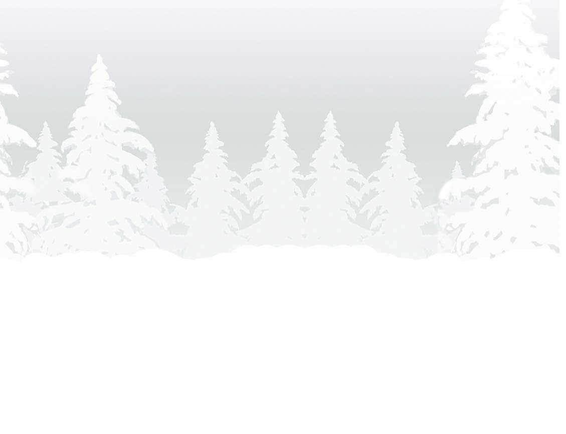 一片美麗的白雪覆蓋景觀 壁紙 — 白雪覆蓋的松樹在柔和漸變的冬日光線中，襯著蒼白的天空。
