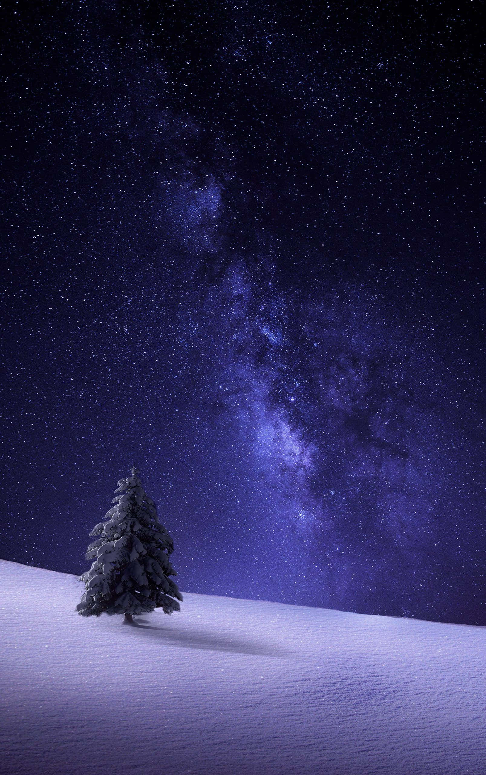 以 Snow iPhone 感受冬季寒意 壁紙 — 一棵孤獨的積雪松樹矗立在雪丘上，上方是充滿活力的紫色星空，銀河在頭頂閃耀。