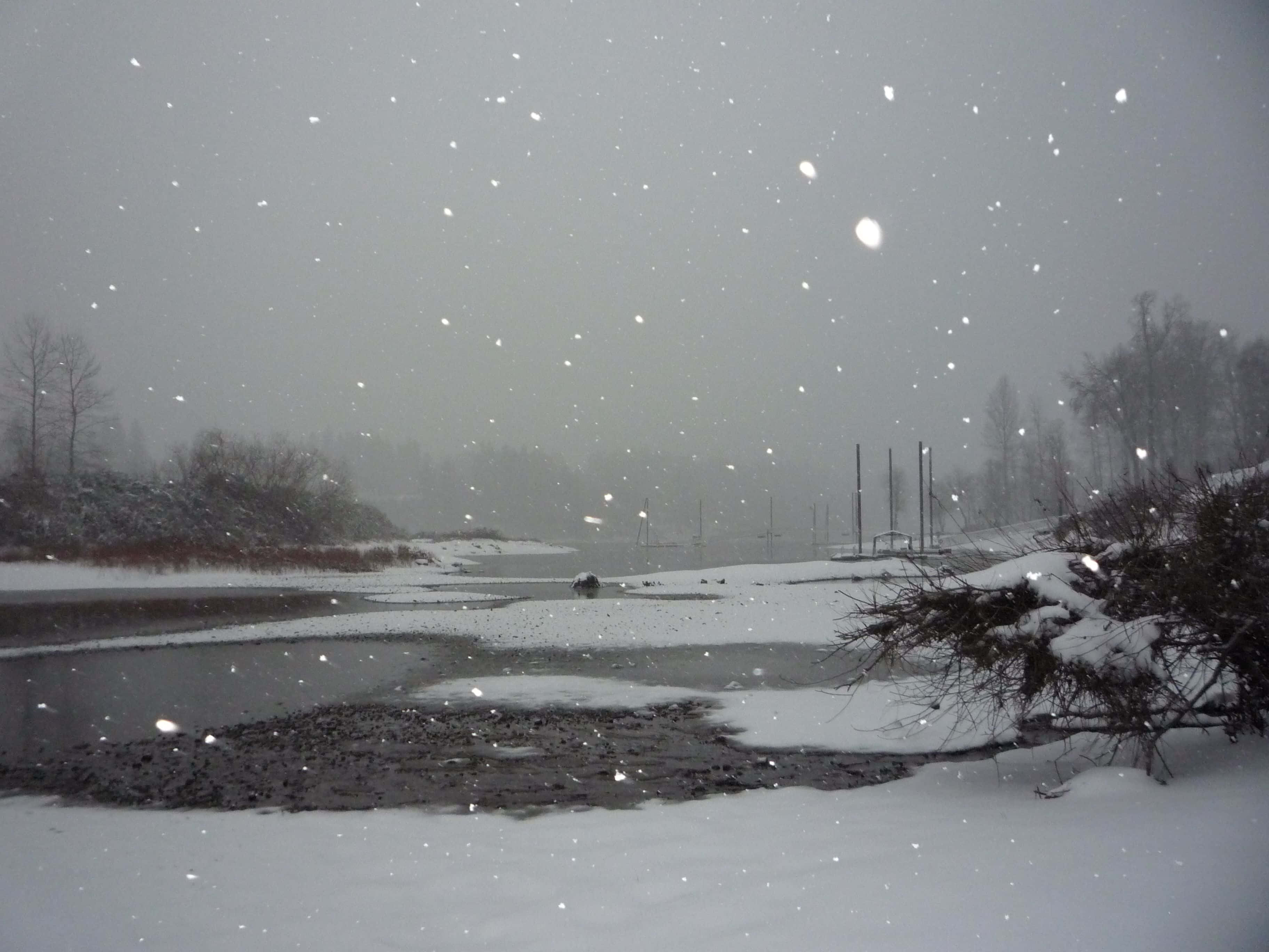 Snowstorm 桌布 壁紙 — 雪花在灰色的冬日天空中飄蕩，掠過結冰的河岸，岸上有光禿的樹木和被雪覆蓋的灌木叢。