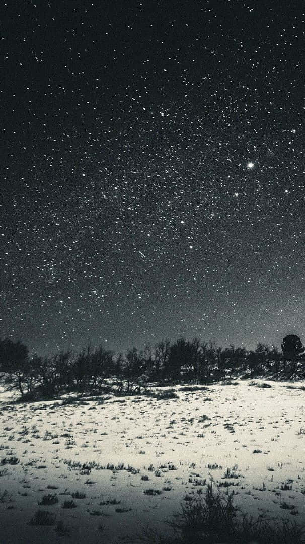  壁紙 — 星空下的雪地，地平線上有樹木的剪影。