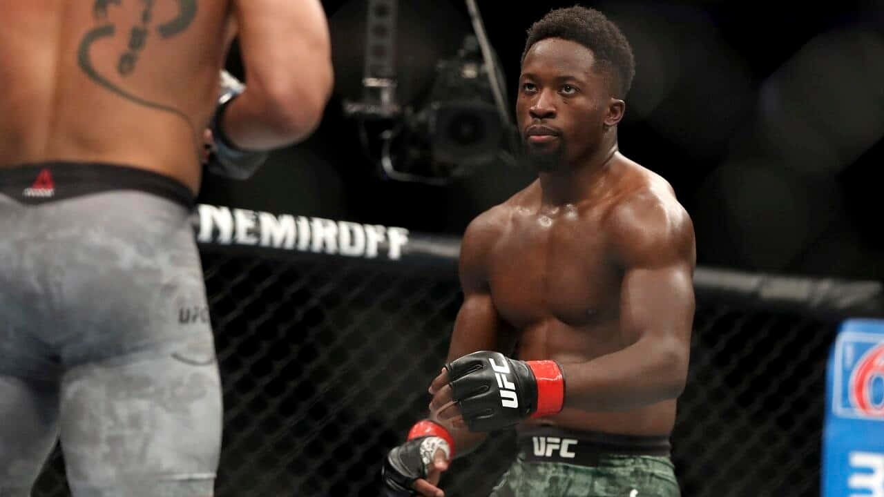 兩名男性MMA拳手在UFC八角籠內擺出戰鬥姿勢。