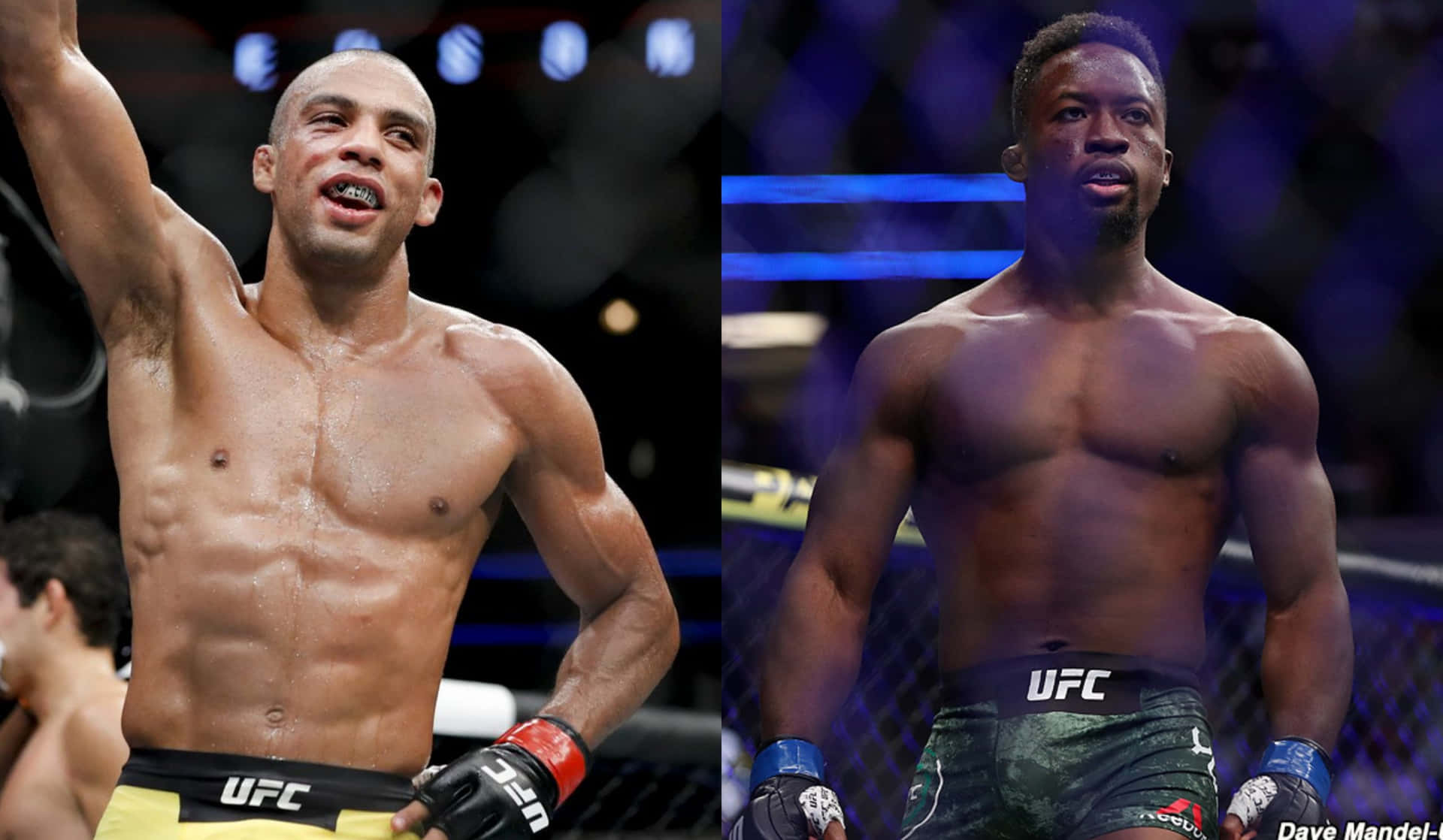 八角籠內的兩名UFC拳手，一人慶祝勝利，另一人準備就緒。