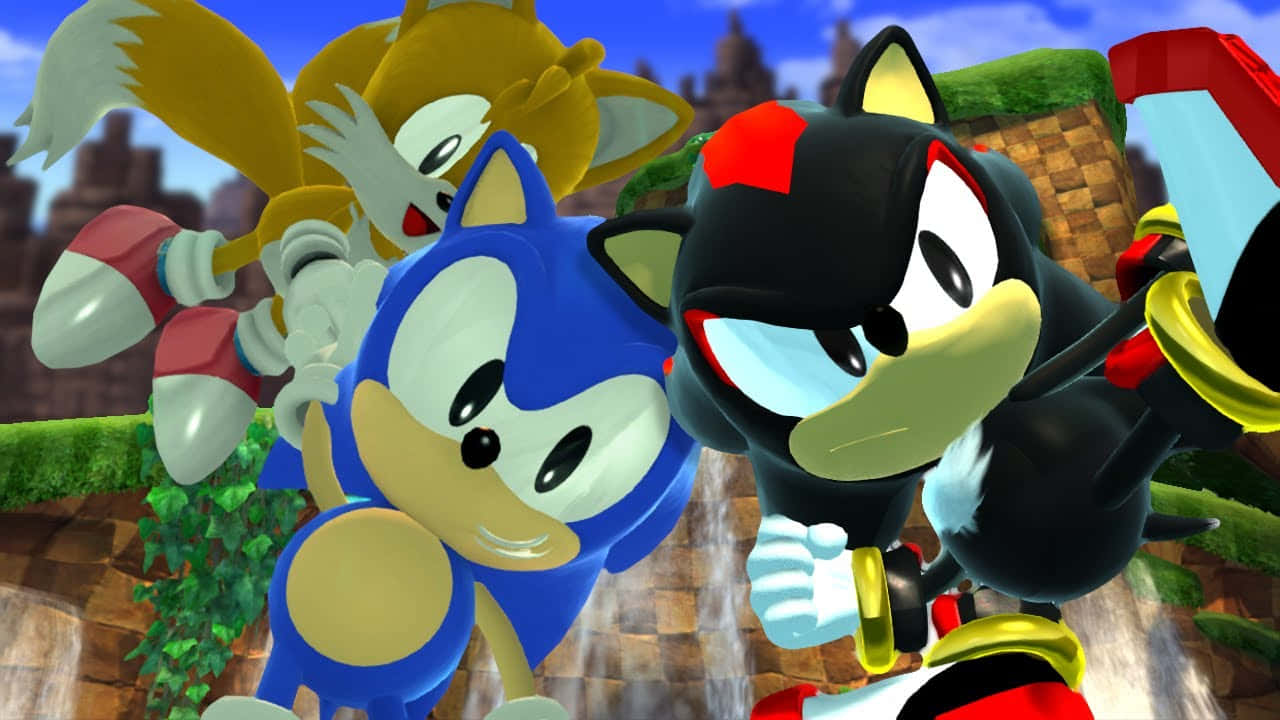  壁紙 — Sonic Tails 與 Shadow the Hedgehog 英雄式地站在綠色懸崖上，背景有城堡。