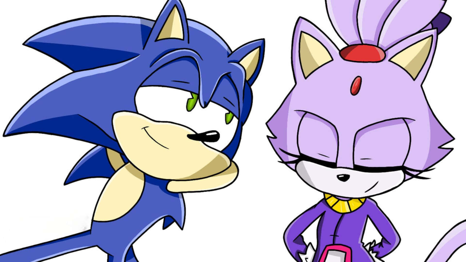 Sonic And Blaze 桌布 壁紙 — Sonic the Hedgehog 同一個紫色貓角色並排企喺純白色背景前面，表情充滿自信。