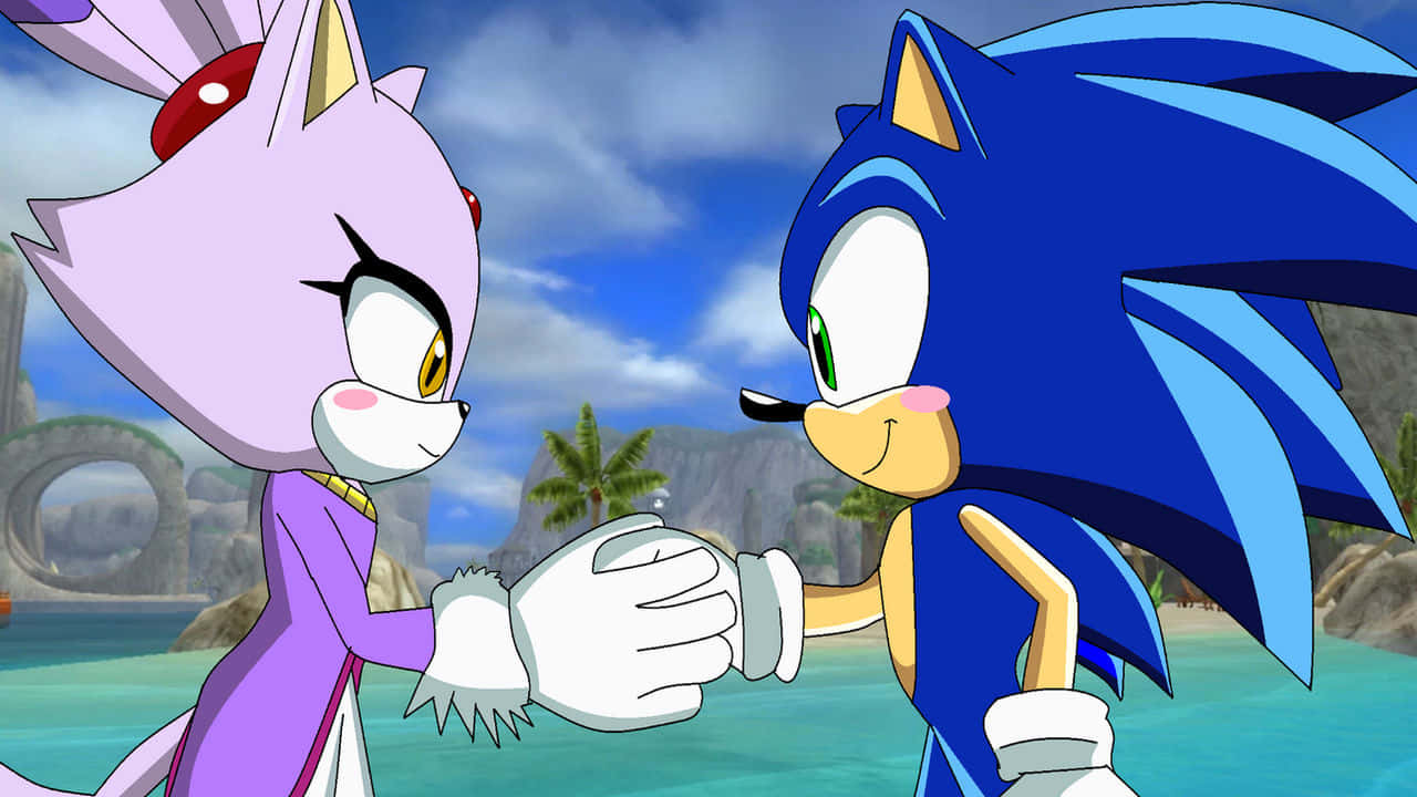 Sonic And Blaze 桌布 壁紙 — Sonic the Hedgehog 和一隻紫色狐狸在熱帶海邊環境中握手，背景有棕櫚樹和岩石峭壁。