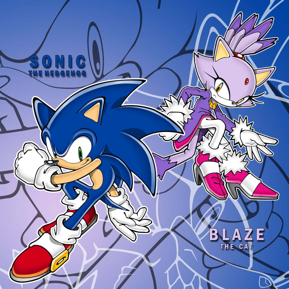Sonic And Blaze 桌布 壁紙 — Sonic the Hedgehog 和 Blaze the Cat 在風格化的藍色和紫色背景上動態競速。