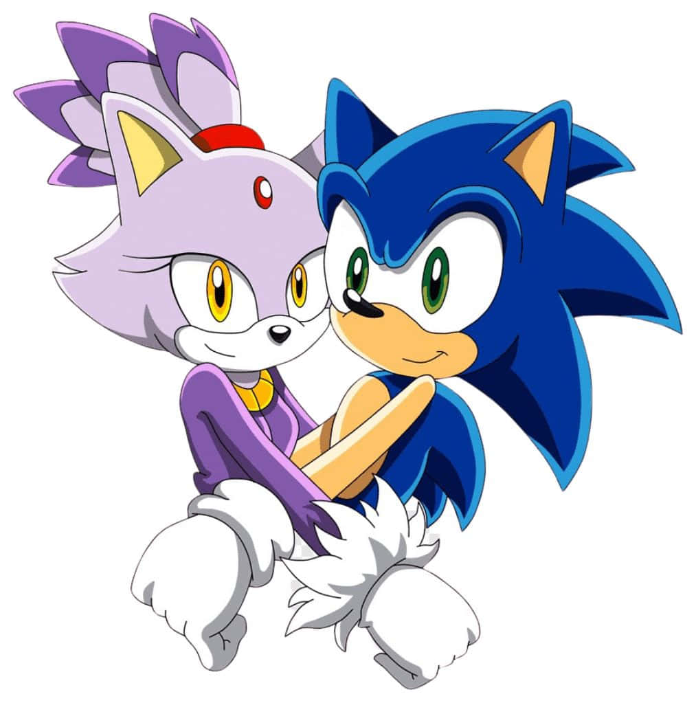 Sonic And Blaze 桌布 壁紙 — Sonic the Hedgehog 同佢嘅紫色狐狸朋友喺純白色背景前以歡樂嘅卡通風格擁抱。