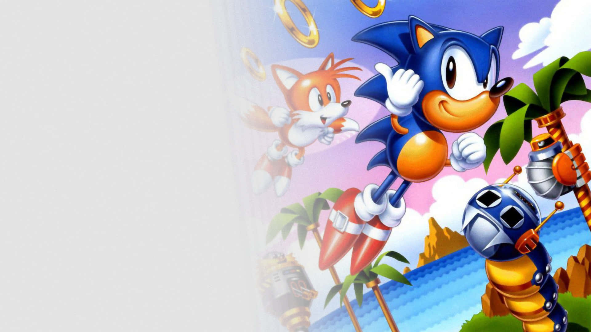  壁紙 — Sonic the Hedgehog 同 Tails 喺一個有棕櫚樹同金色環喺天空飛翔嘅熱帶島嶼上奔馳。