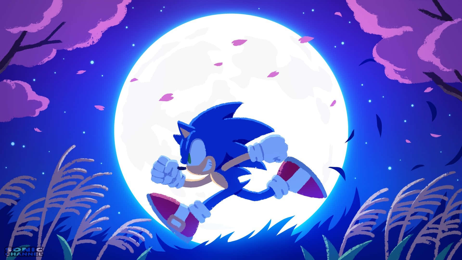 Sonic Art 桌布 壁紙 — Sonic the Hedgehog 喺月光照耀嘅夜晚疾馳，紫色雲朵同飄落嘅花瓣框住咗場景。