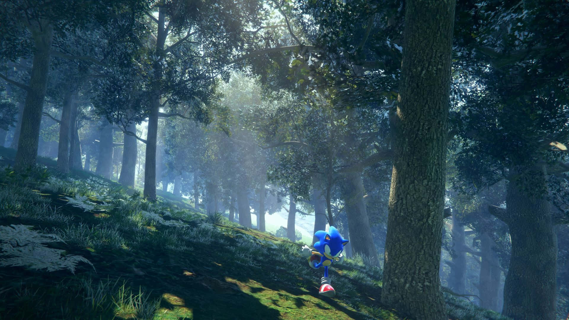  壁紙 — Sonic the Hedgehog 喺陽光普照嘅森林中疾馳，光線穿透茂密嘅綠色樹冠。