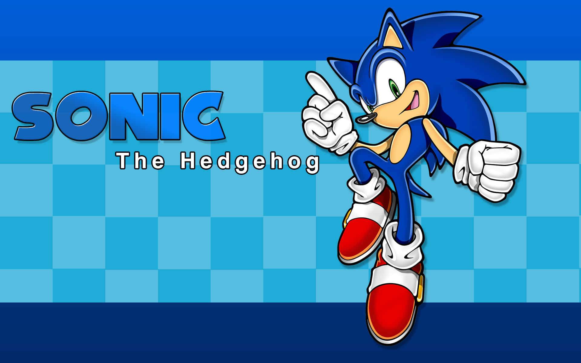 Sonic the Hedgehog 角色以奔跑姿勢站在藍色格仔背景上。