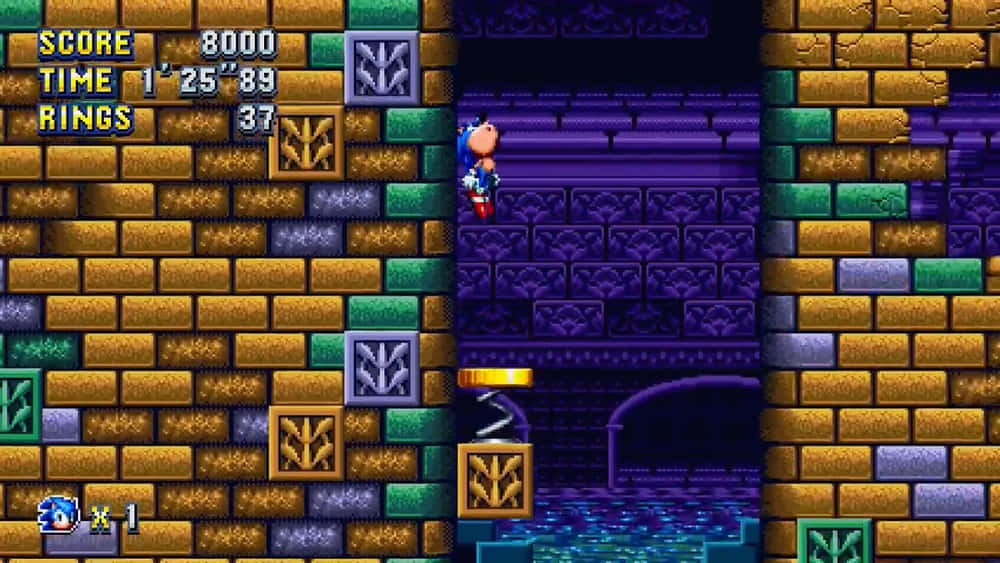 Sonic Hydrocity Zone 桌布 壁紙 — Sonic the Hedgehog 企喺金色環上面，喺一個像素化嘅紫色地牢入面，有磚牆同遊戲HUD統計數據。