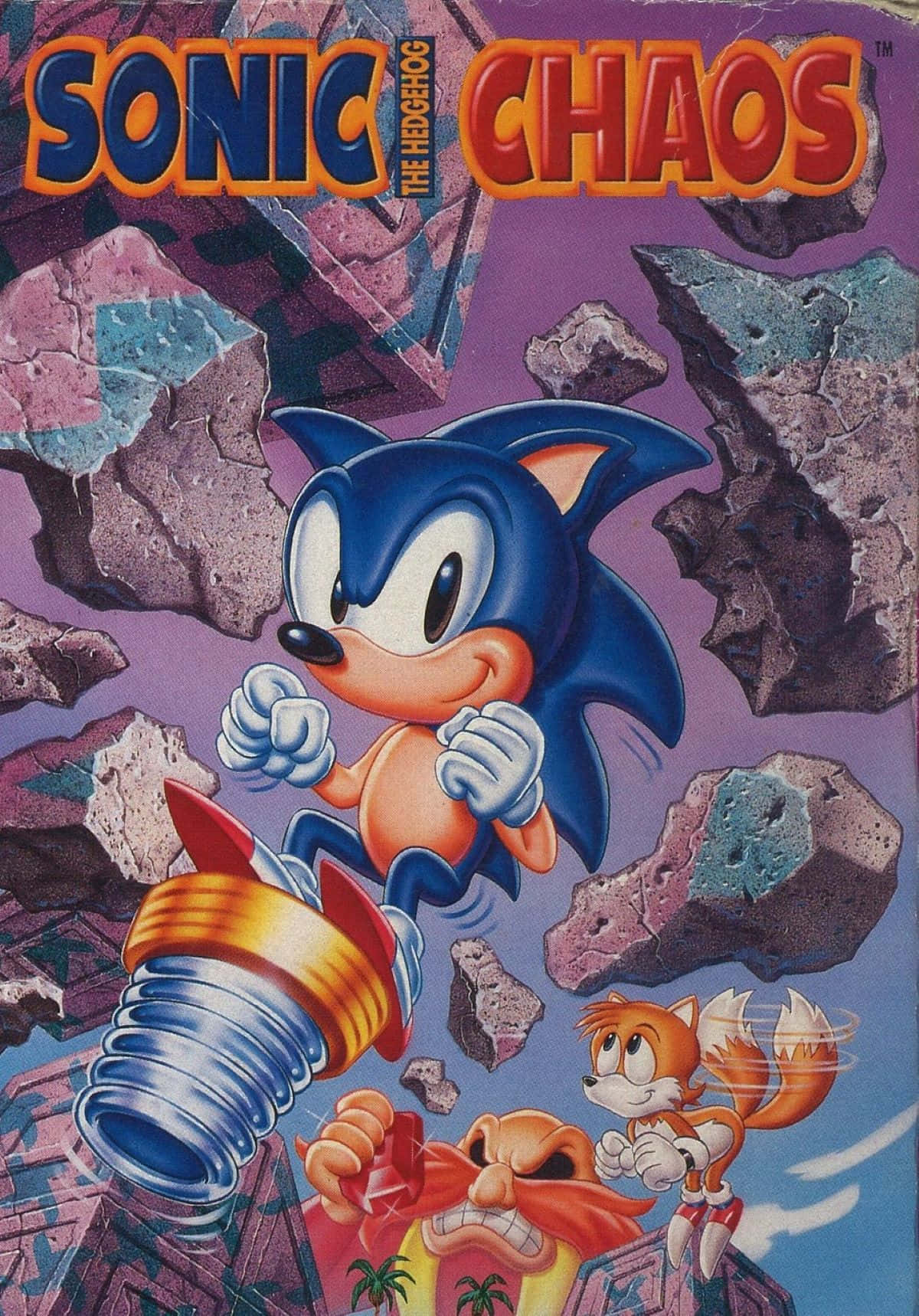  壁紙 — Sonic the Hedgehog 與 Tails 和 Dr. Robotnik 在一個充滿活力的 90 年代電子遊戲封面中穿越岩石峽谷。