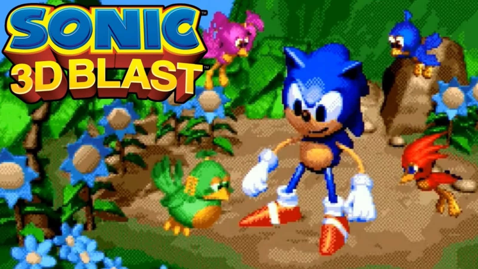 Sonic 3d Blast 桌布 壁紙 — Sonic the Hedgehog 站在充滿活力的像素叢林中，色彩繽紛的鳥兒和藍色花朵在明亮的天空下。