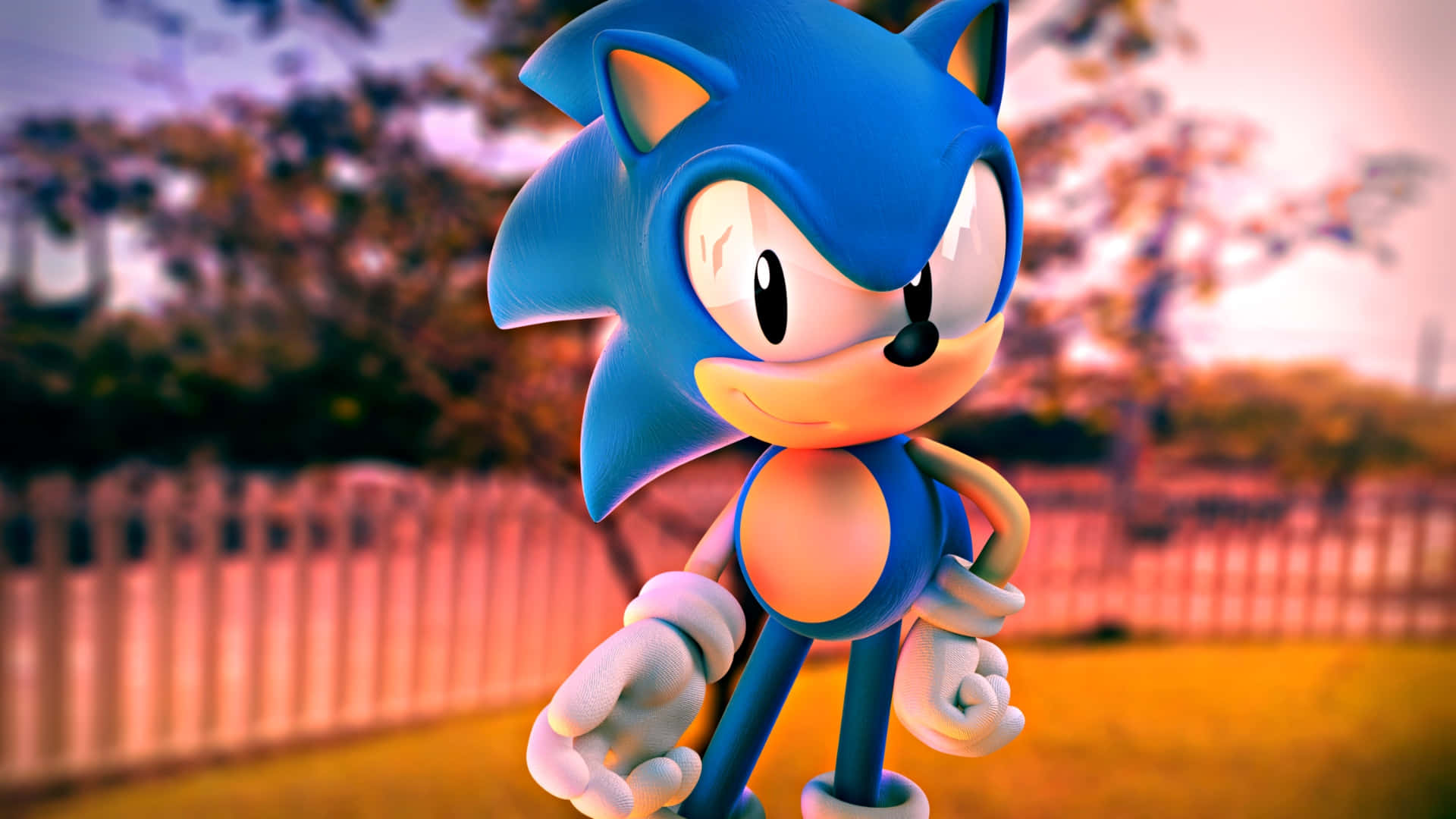  壁紙 — Sonic the Hedgehog 自信地站在溫暖的夕陽餘暉中，身後是模糊的木柵欄和樹木。