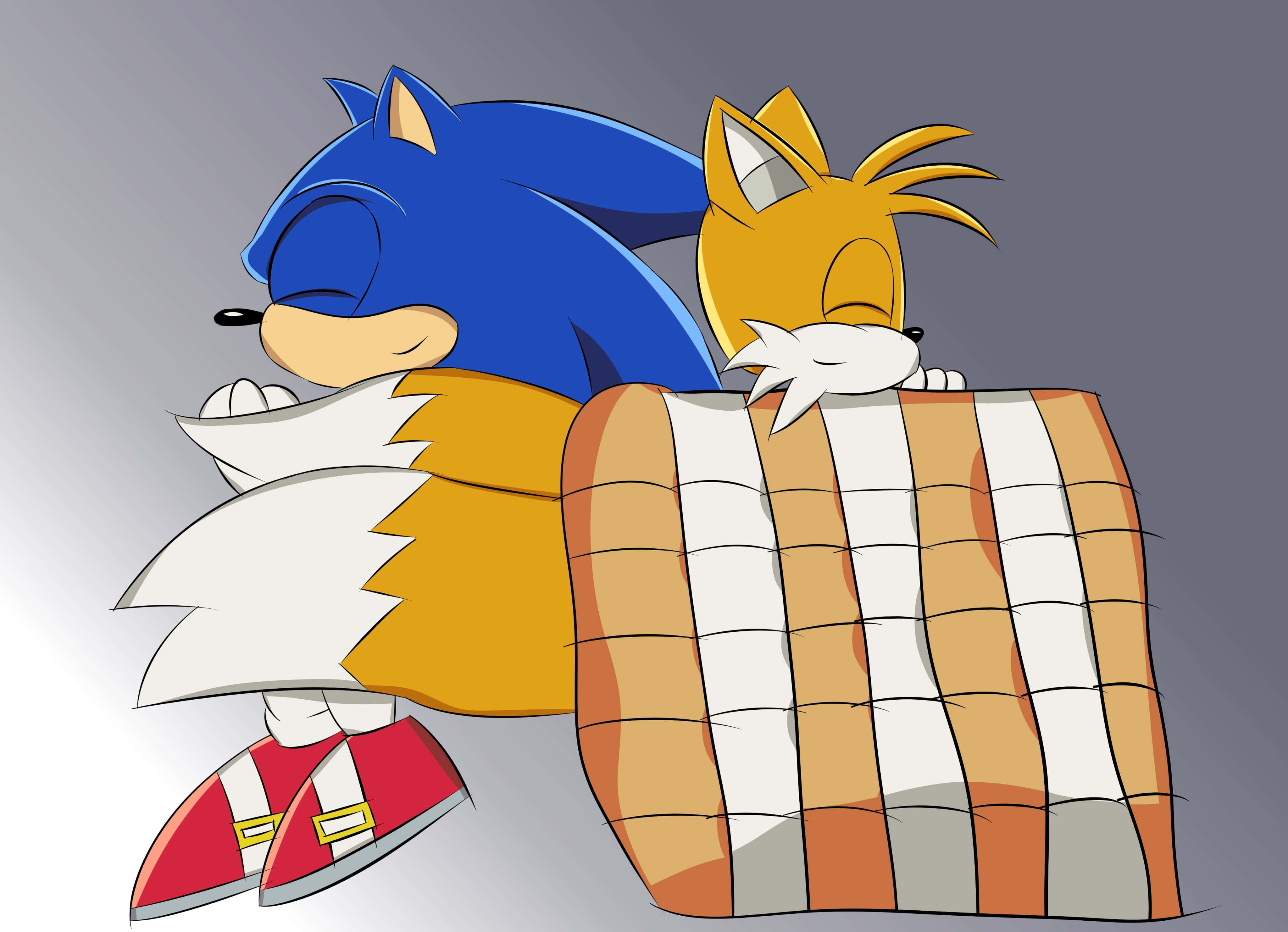 Sonic And Tails 桌布 壁紙 — Sonic 同 Tails 喺柔軟嘅灰色背景前，閉上眼睛，帶住平靜嘅表情，依偎喺格仔毯下面。