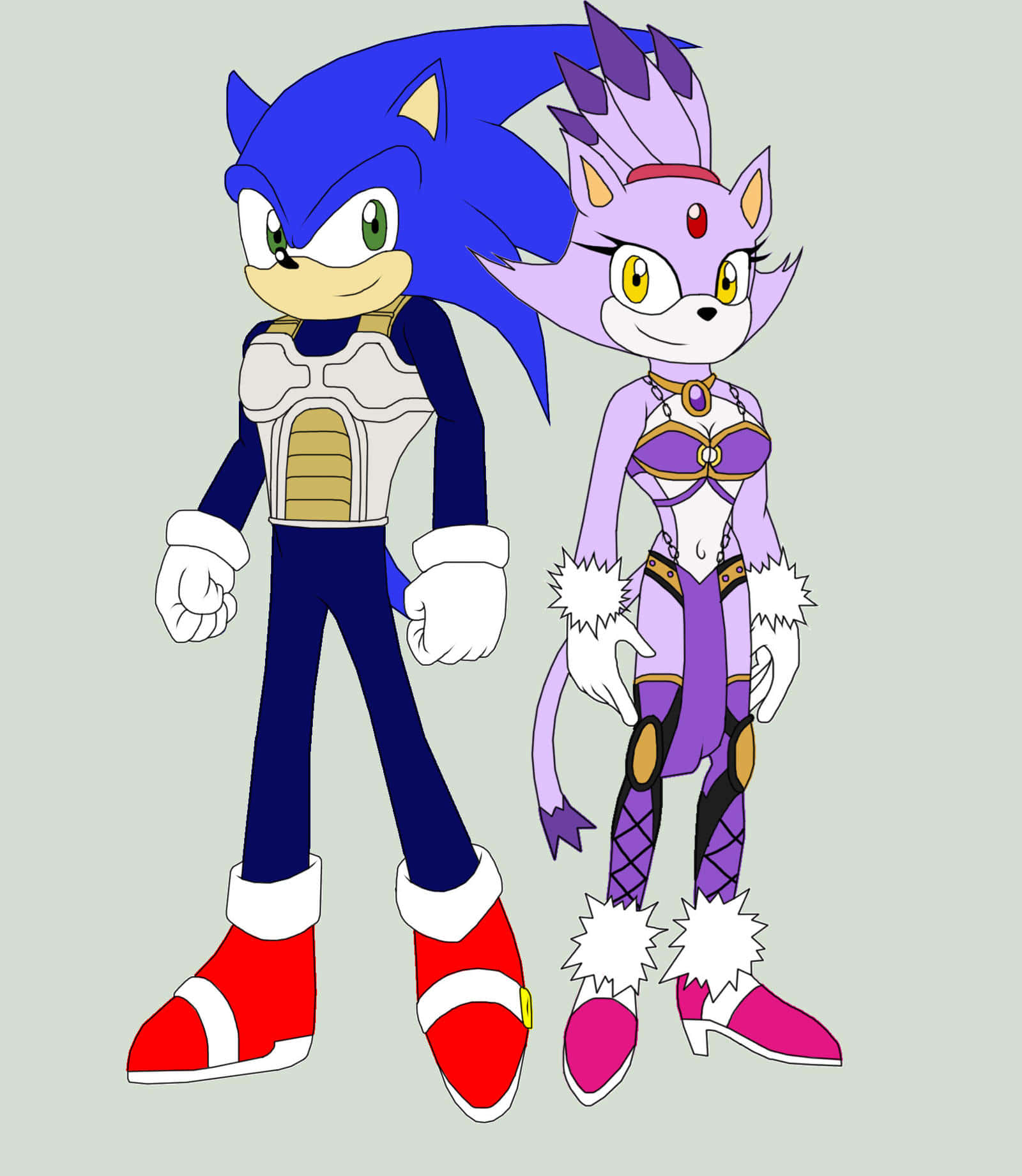 Sonic And Blaze 桌布 壁紙 — Sonic 同一個紫色貓角色並排企喺普通灰色背景前面，著住細節豐富嘅服裝。